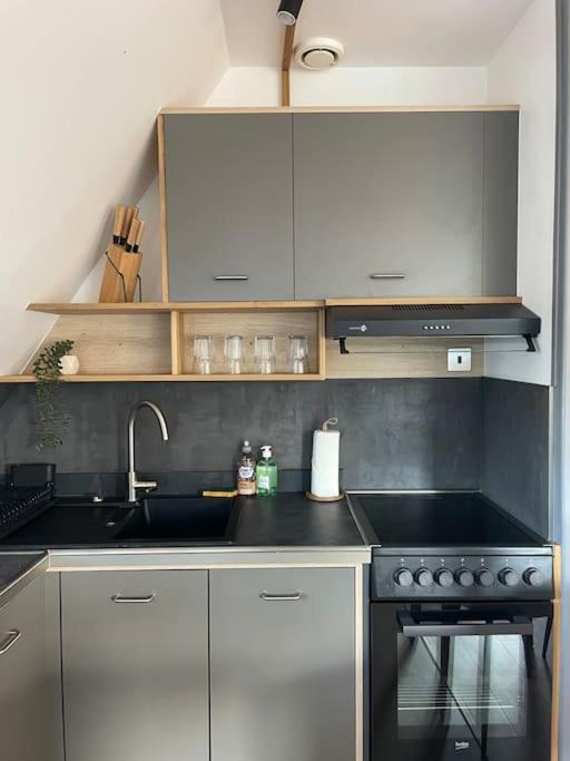 Апартаменты Duplex Bord De L'Eure - Parking Inclus - Jolie Vue Sur La Cathedrale Шартр Экстерьер фото