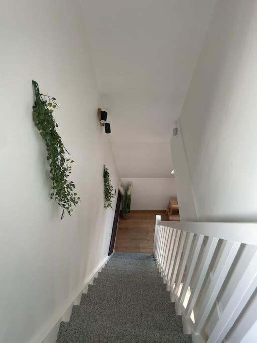 Апартаменты Duplex Bord De L'Eure - Parking Inclus - Jolie Vue Sur La Cathedrale Шартр Экстерьер фото